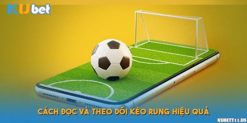 Cách đọc và theo dõi kèo rung hiệu quả