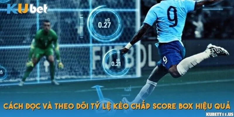 Cách đọc và theo dõi tỷ lệ kèo chấp score box hiệu quả
