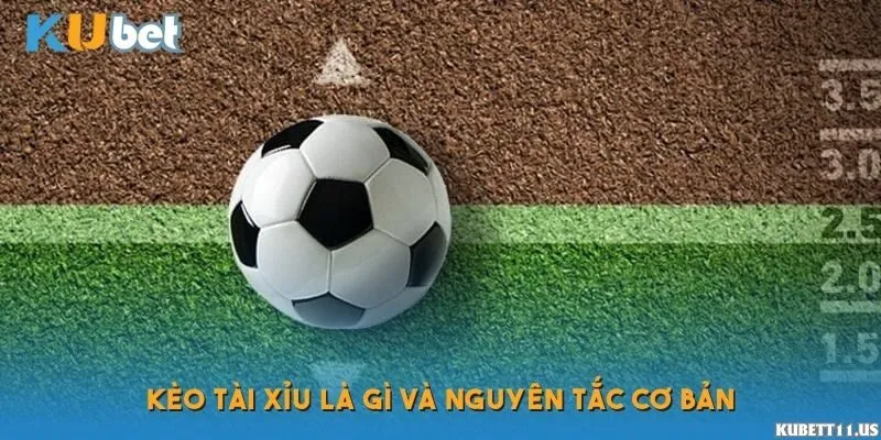 Kèo tài xỉu là gì và nguyên tắc cơ bản