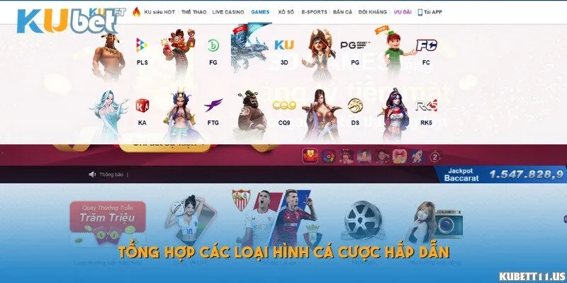 Tổng hợp các loại hình cá cược hấp dẫn